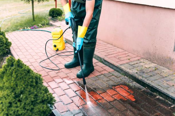 Best Building Exterior Washing  in Cortland West, NY
