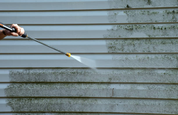 Best Building Exterior Washing  in Cortland West, NY